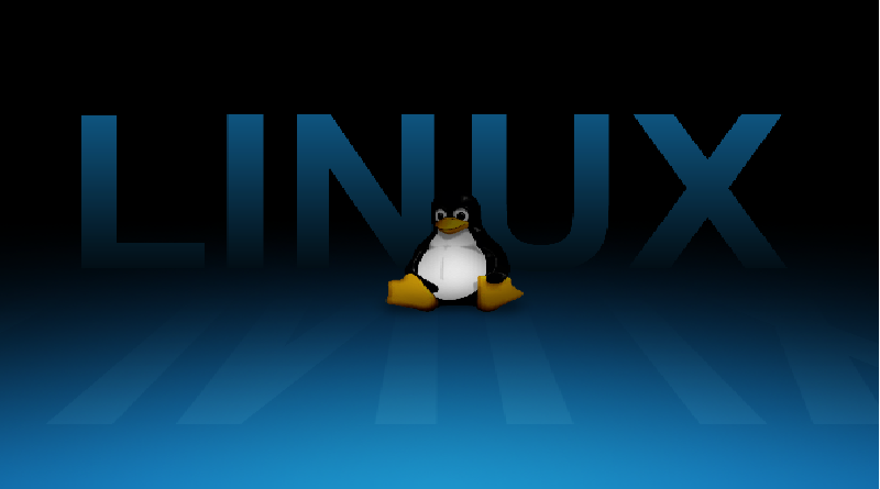 Read more about the article 6 curiosidades sobre Linux