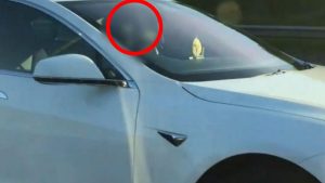 Read more about the article Como não conduzir um Tesla em piloto automático